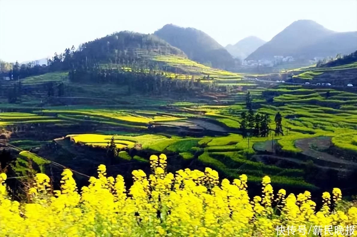 徜徉在罗平相石阶的曼妙中 徜徉在罗平相石阶的曼妙中