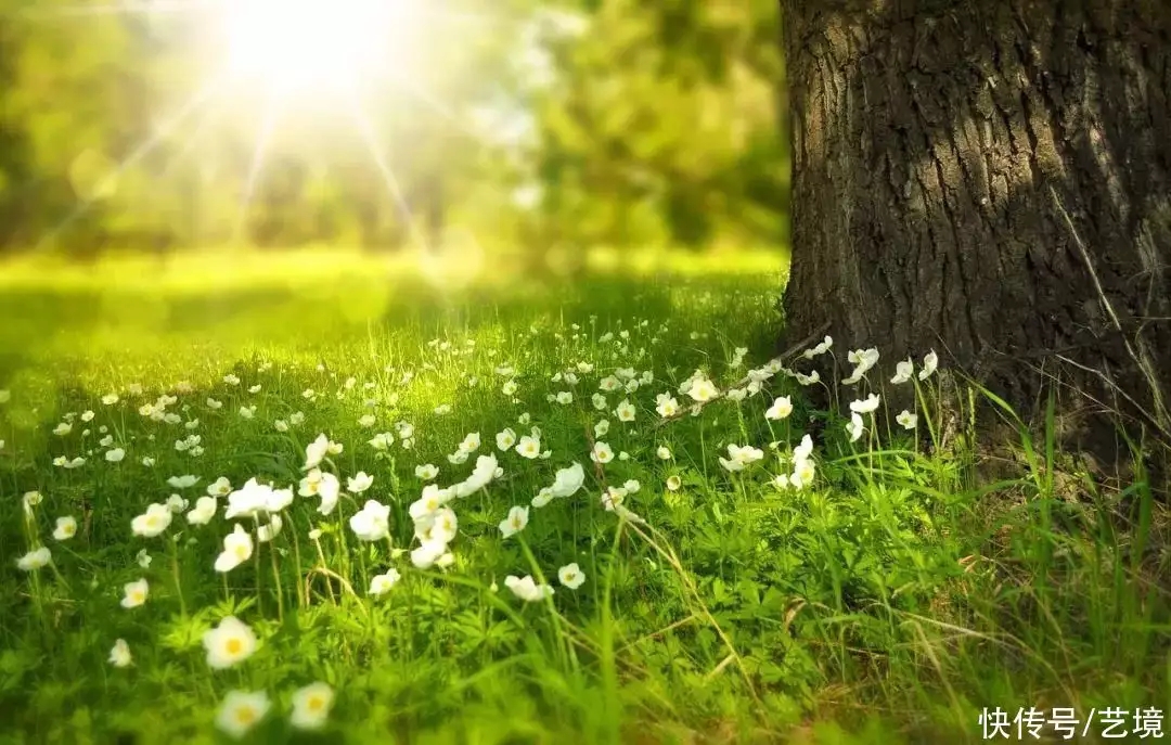 内心有光,才是最美的模样 内心有光,才是最美的模样