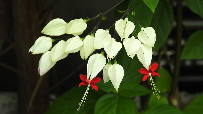 不像诗的诗《自诊》 不像诗的诗《自诊》