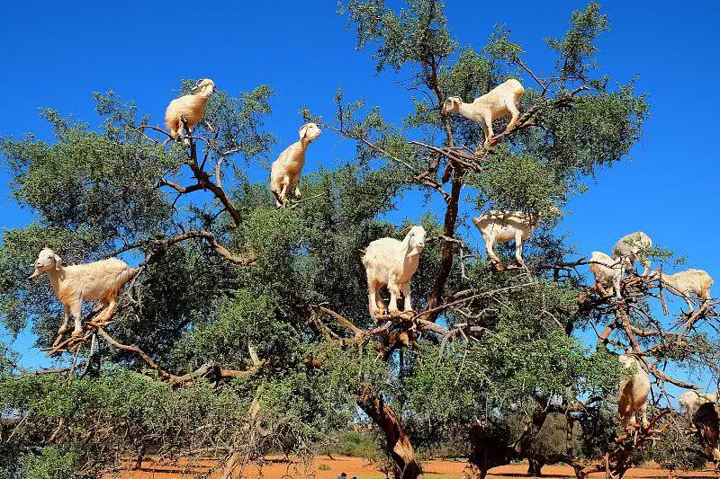外一首《静默哲学》阿凡 外一首《静默哲学》阿凡