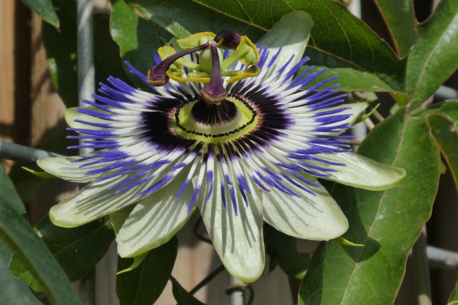 一首很痛的诗《押解》 一首很痛的诗《押解》