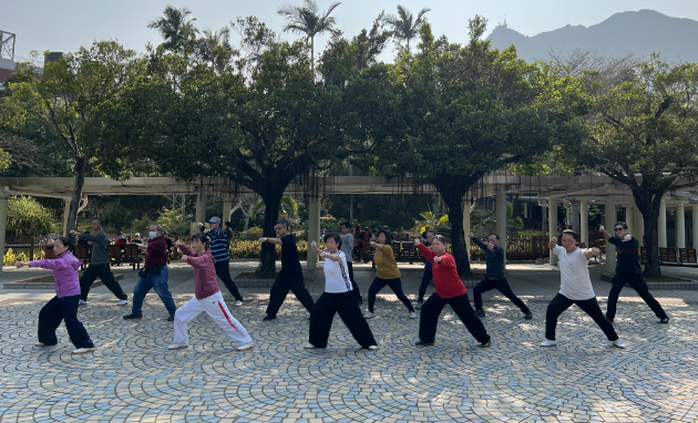 霍式八极拳 霍式八极拳